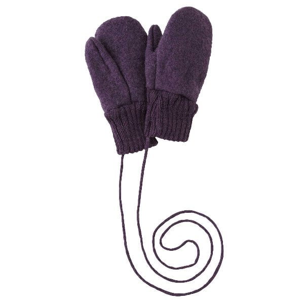 Disana 2025- Boiled Wool Mittens