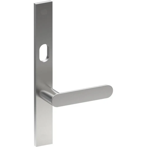 ROUBAIX Door Handle on B02 Australian Standard Backplate