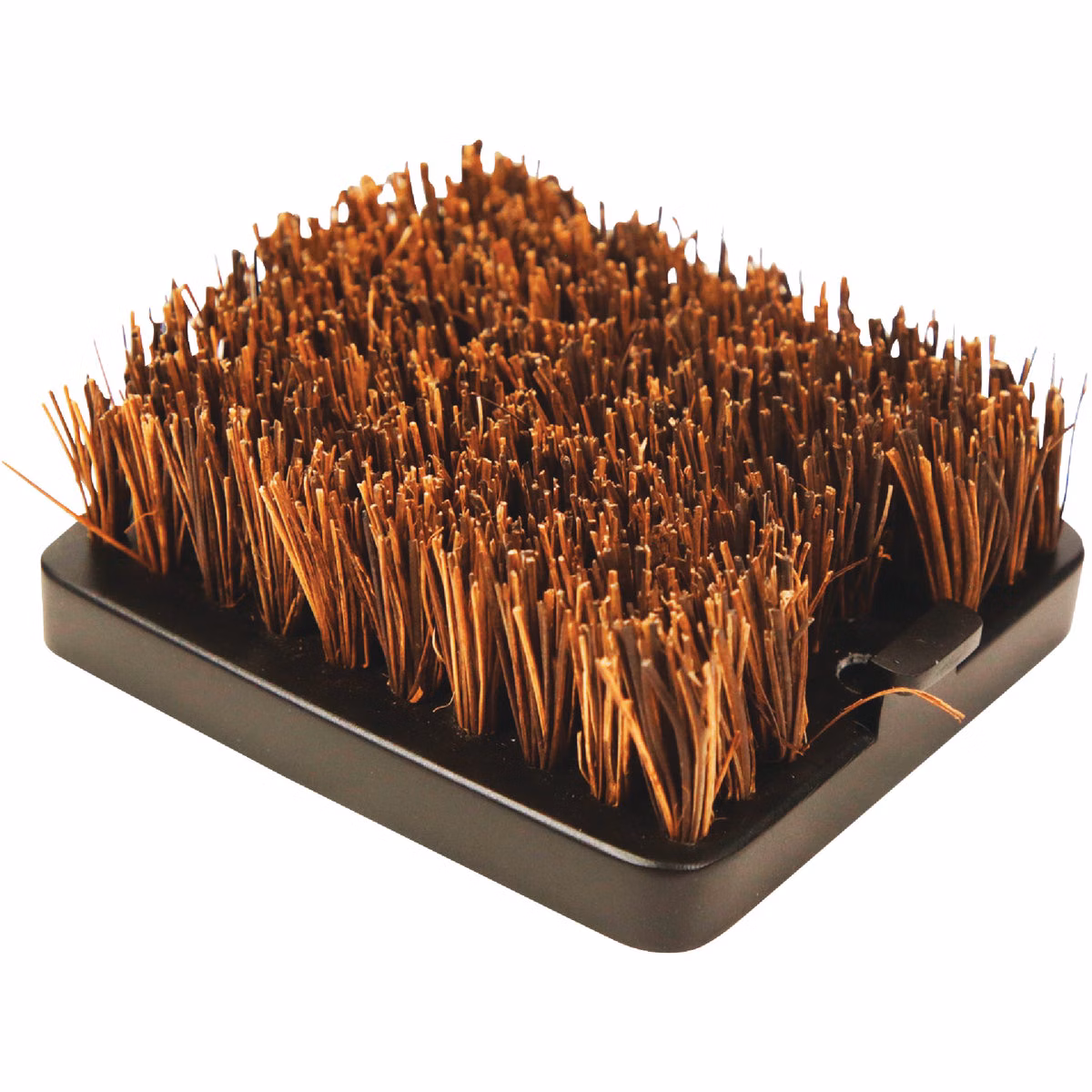 Pit Boss Palmyra Grill Brush Replacement Head